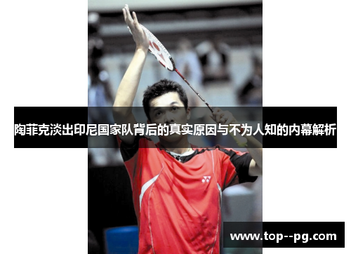 陶菲克淡出印尼国家队背后的真实原因与不为人知的内幕解析