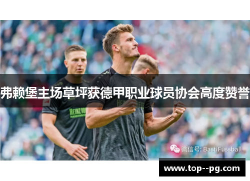 弗赖堡主场草坪获德甲职业球员协会高度赞誉