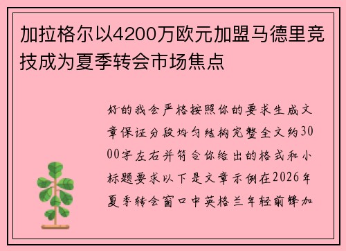 加拉格尔以4200万欧元加盟马德里竞技成为夏季转会市场焦点